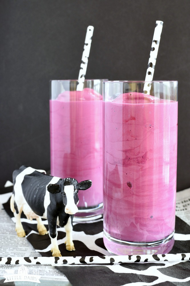 two glasses with purple milkshakes and black and white spotted straws, with a black and white toy cow