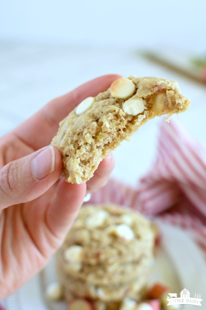A hand holding a half an oatmeal cookie with white chocolate chips and rhubarb