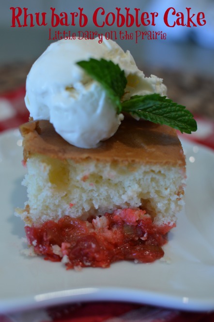 Rhubarb Cobbler Cake, marshmallows, jello, cake mix, easy dessert