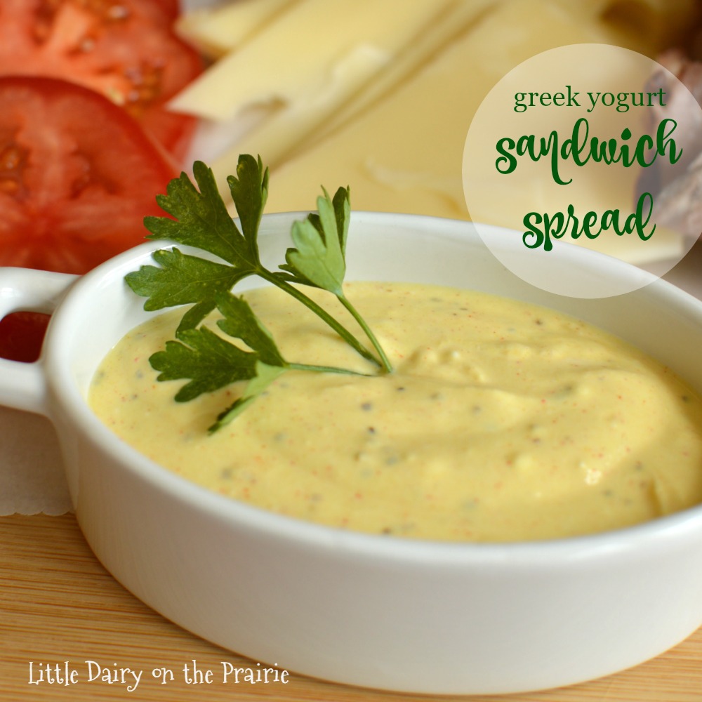 Want to dress up your sandwich and stay skinny too Try my creamy Greek Yogurt Sandwich Spread! Delicious!