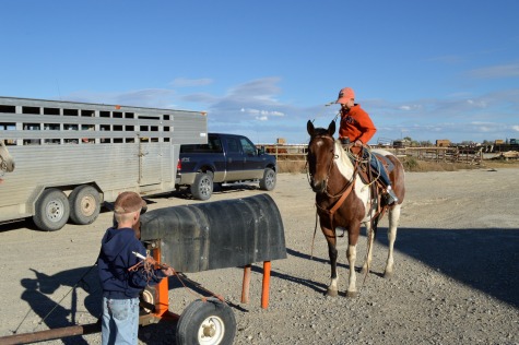 Roping and bow and arrows