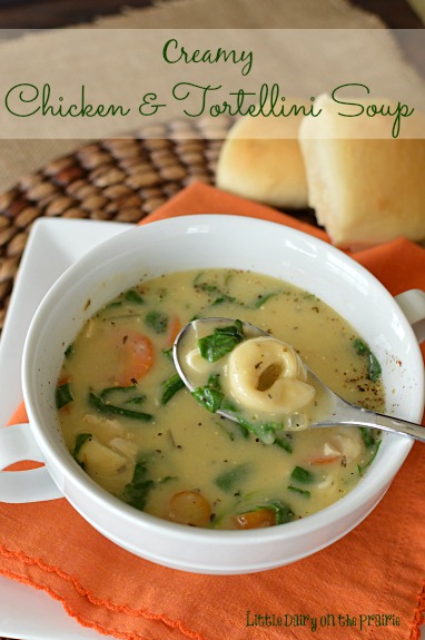Cheesy tortellini, fresh spinach and an amazing combination of spices make this soup ultra comforting!!
