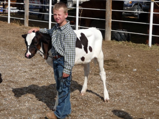 Dairy farmer boy