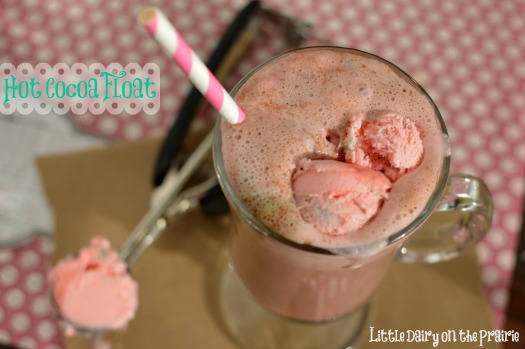 Hot cocoa floats with peppermint ice cream!! Add whatever flavor of ice cream you are craving!! - Little Dairy on the Prairie