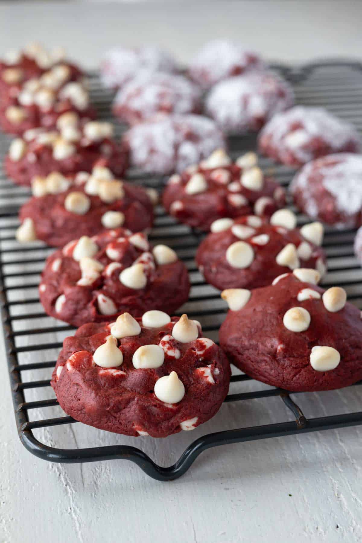 Baked red velvet cookies with white chocolate chips.