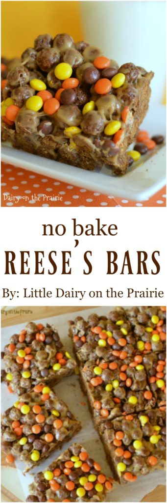 This is basically a crispy treat that is loaded with chocolate and peanut butter! It's a winner!