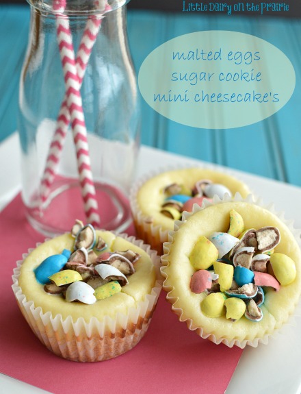 Easter Malted Eggs Cheesecake! Little Dairy on the Prairie