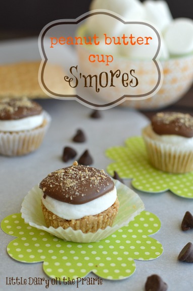 Okay, if you love s'mores (and who doesn't) and peanut butter cups...this is your lucky day! Trust me, you will become addicted! Little Dairy on the Prairie
