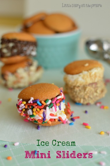 Ice Cream Mini Sliders! Endless flavor combos! Little Dairy on the Prairie