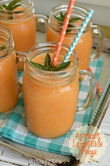 Apricot Lemonade Freeze has become a favorite summer time thirst quencher! Little Dairy on the Prairie