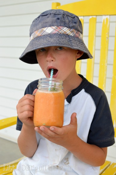 Nothing quenches a little boy's thirst like an apricot lemonade! Click for recipe! Little Dairy on the Prairie