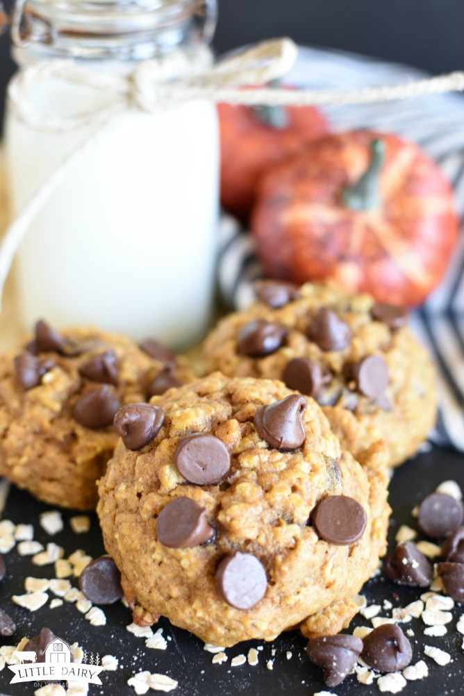 Pumpkin Oatmeal Chocolate Chip Cookies are super soft cookies made with pumpkin puree, oatmeal, flour, chocolate chips, and all the traditional pumpkin spices! pitchforkfoodie.com #cookies #chocolate #pumpkin #oatmealcookies #chocolatechipcookies #dessert #baking #treats #snacks #recipe