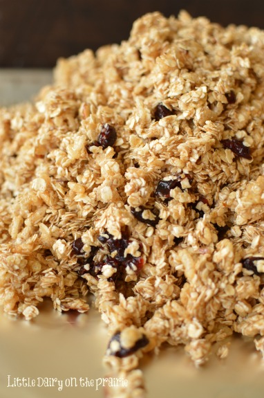 Cranberry Almond Granola! A few tricks for making the best granola ever!  Little Dairy on the Prairie