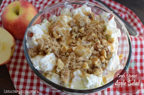 Once you start eating Greek Yogurt Apple Salad you won't be able to put your fork down! Little Dairy on the Prairie