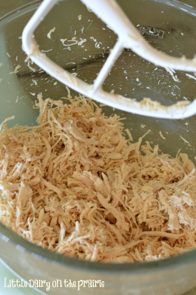 Shredding chicken like this is so easy and it's in perfect shreds!  Little Dairy on the Prairie