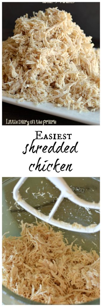 This is the easiest, fastest and best shredded chicken ever! I shred huge amounts at once and freeze it so I always have a head start on dinner!  Little Dairy on the Prairie