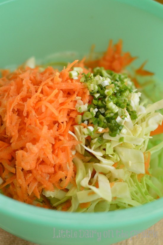 I love all the colorful veggies in coleslaw!