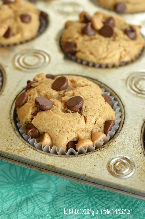 Chubby Hubby Muffins are packed with peanut butter, bananas, and chocolate. That's a pretty unbeatable beginning to any day! Little Dairy on the Prairie
