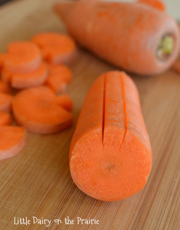 Carrot "Pumpkins" The beginnings for a pumpkin