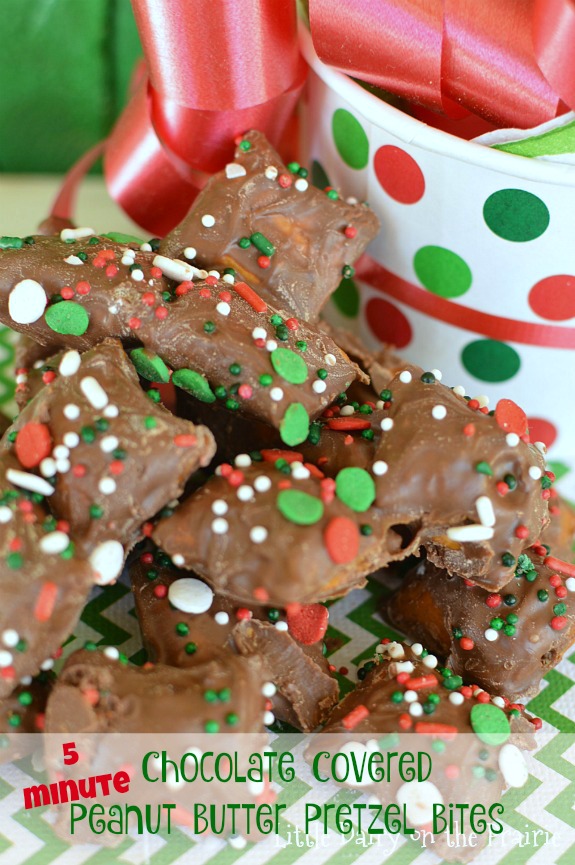 Chocolate Covered Peanut Butter Pretzel Bites! An easy holiday recipe the kids can help with! A go to neighbor gift! Little Dairy on the Prairie