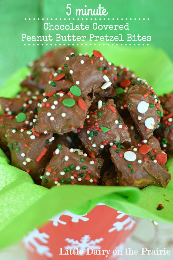 Chocolate, peanut butter, and pretzels! That's really all you need to know and you can tell these things are addicting! It makes a quick snack, perfect for Christmas gift giving!