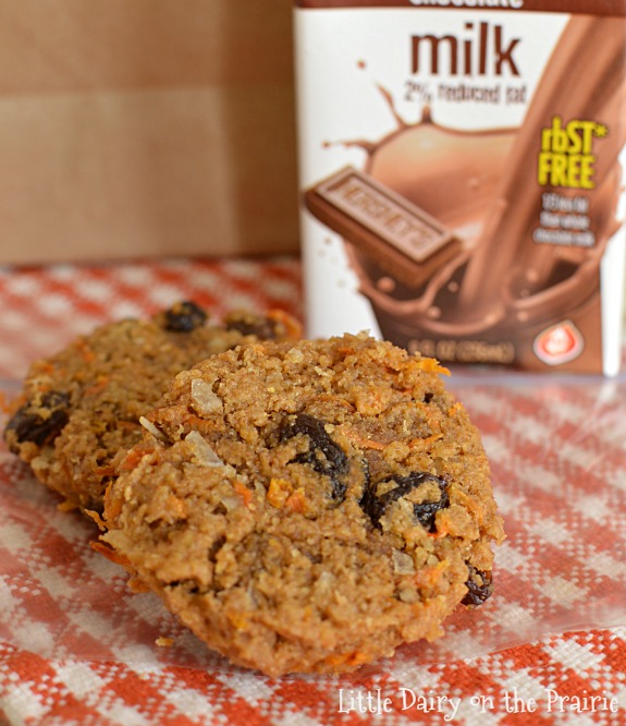 Carrot cookies are a healthy choice for an on the go breakfast! These freeze well too! Little Dairy on the Prairie
