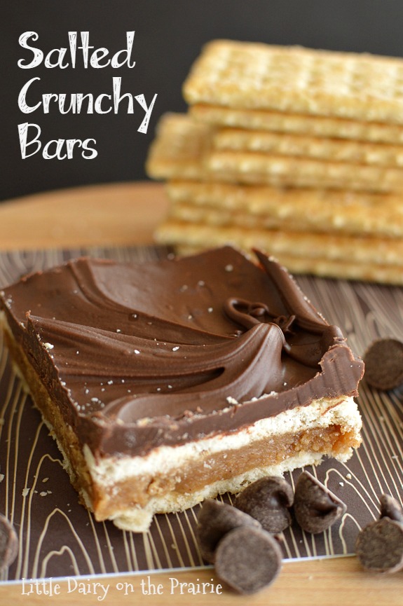 No bake Salted Crunchy Bars are everything you already love about salty and sweet all packed in one super easy to make bite! I'm addicted! Little Dairy on the Prairie