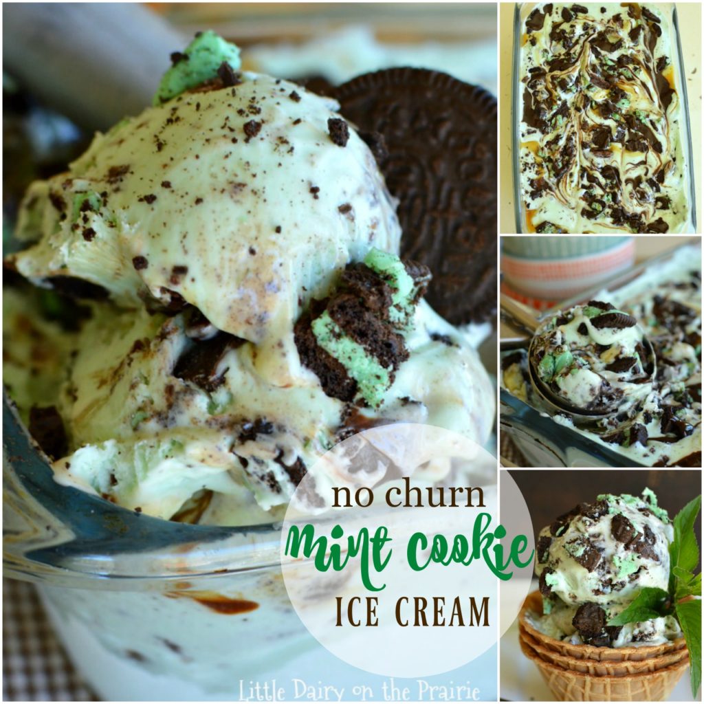 Every bite of No Churn Mint Cookie Ice Cream is loaded with mint cookies, mint chips, caramel, and hot fudge sauce!