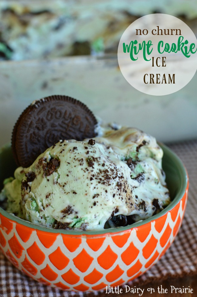 Every bite of this Mint Ice Cream is loaded with two different kinds of cookies, mint chips, caramel, and hot fudge! Amazing!