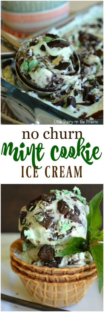 If you love mint and chocolate you MUST try this ice cream! It's extra creamy and LOADED with mint cookies and chips, and swirled with caramel and hot fudge topping!