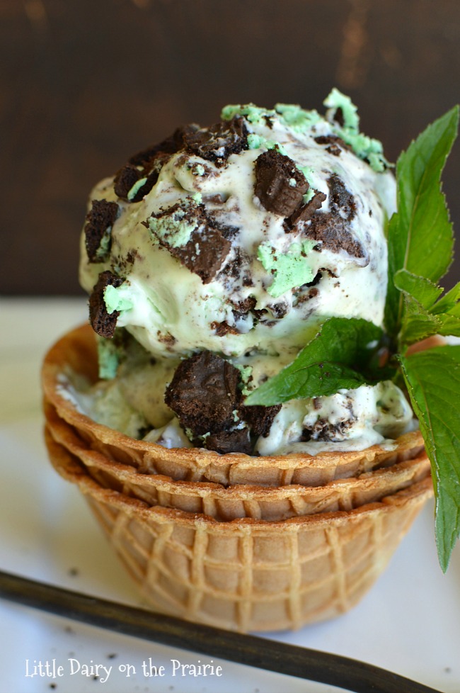 Mint-Cookie-Ice-Cream-6