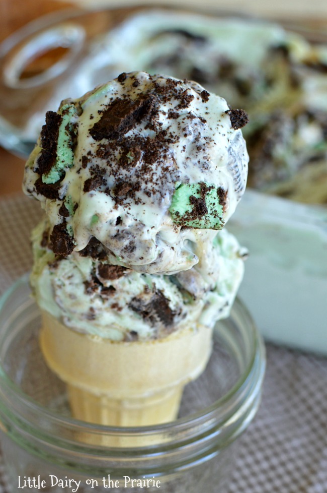 Mint-Cookie-Ice-Cream-7