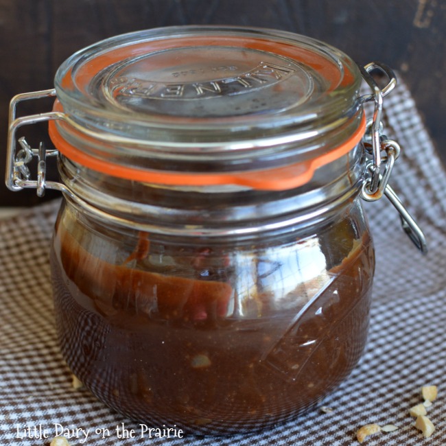 peanut-butter-hot-fudge-sauce-8