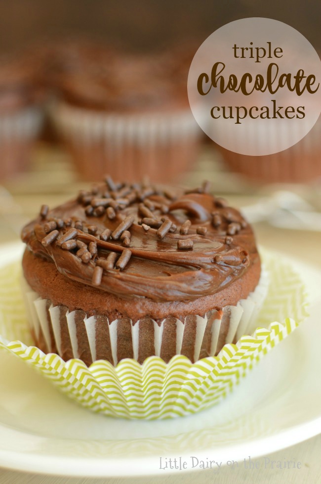 triple-chocolate-cupcakes-5
