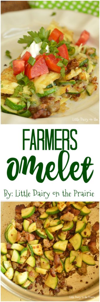 Farmers Omelet is packed with zucchini, tomatoes, and herbs straight from the garden! This is the breakfast you want to start your day with!