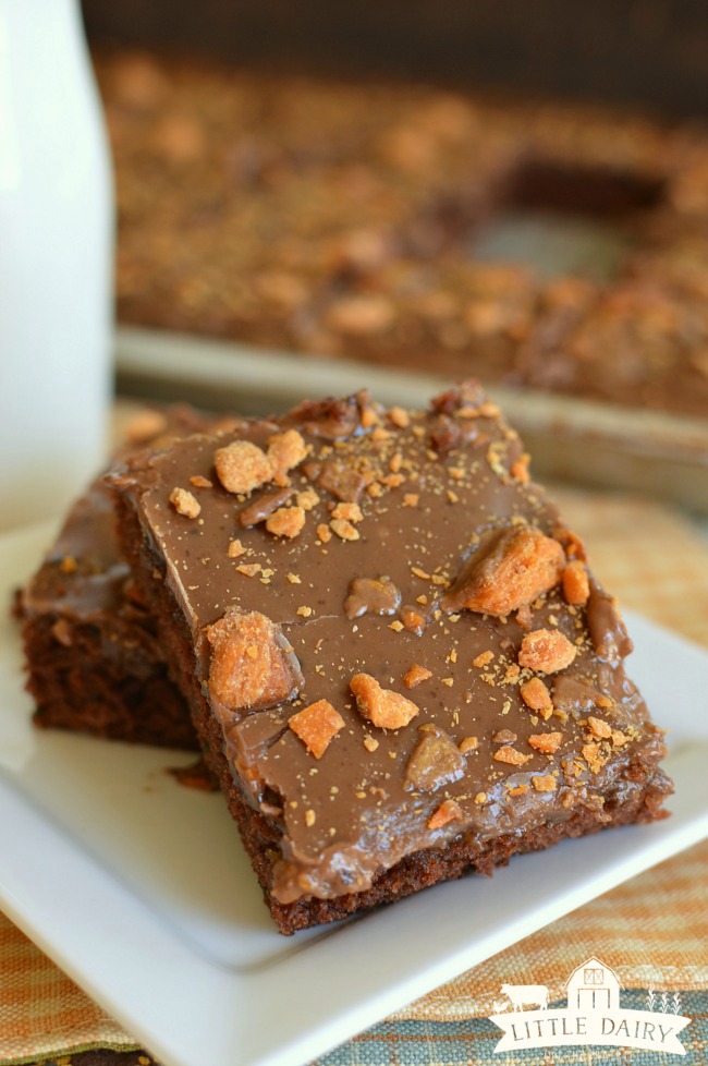 zucchini-brownies-4