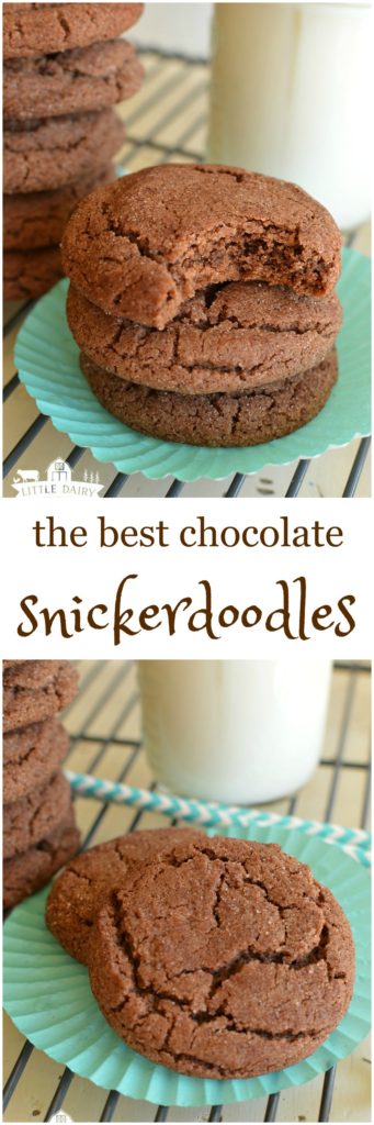 skip-the-bakery-and-bake-your-own-chocolate-snickerdoodles-theyre-a-little-crispy-on-the-edges-and-a-little-chewy-in-the-middle-exactly-how-they-are-supposed-to-be