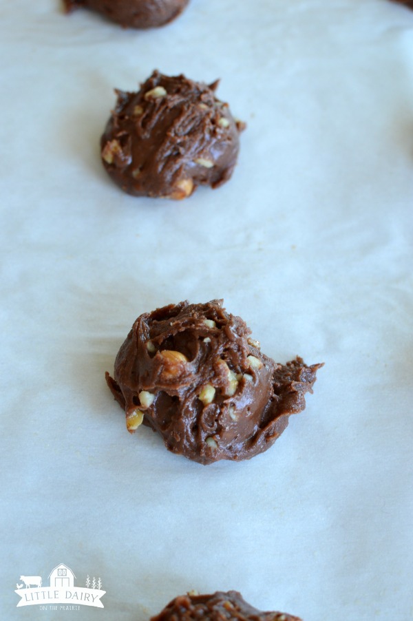 Turtle Cookies - caramel, pecans, chocolate!