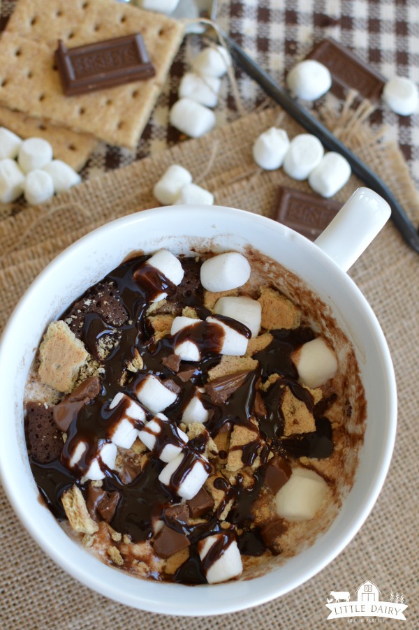 A mug with warm chocolate cake topped with marshmallows, graham cracker bits, and drizzled with hotfudgesauce