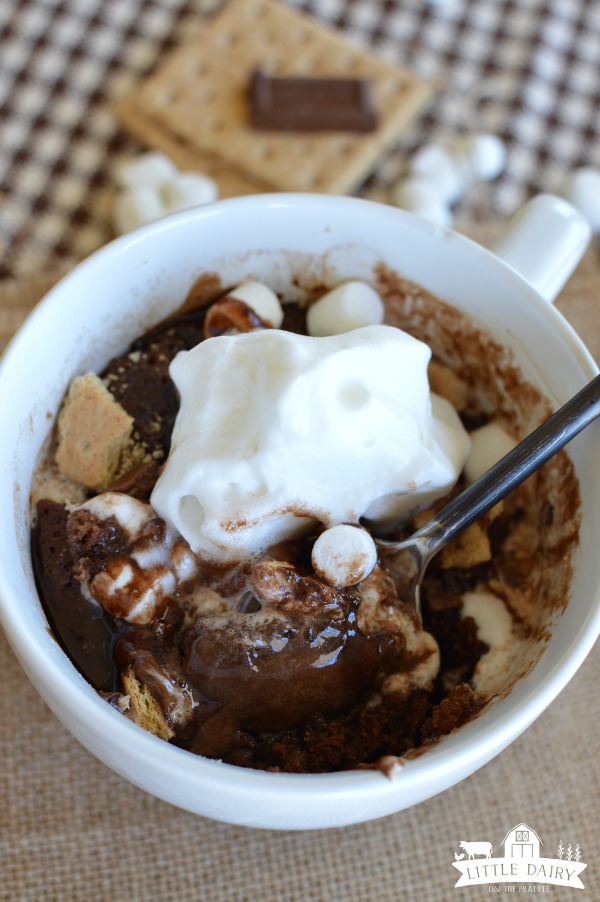 S'mores Chocolate Mug Cake - all the yumminess with out the fire