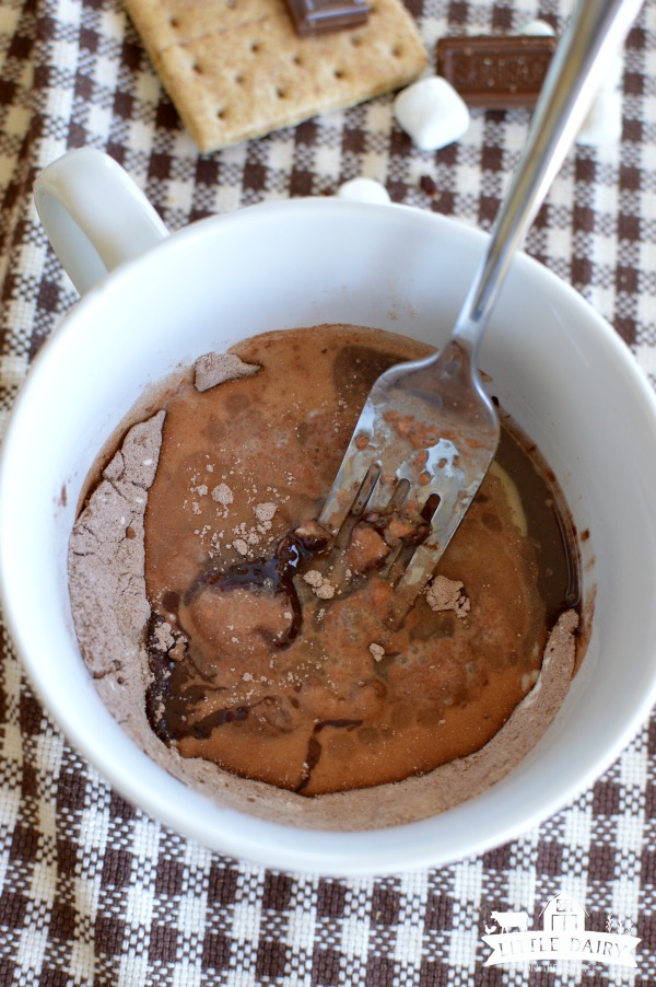 S'mores Chocolate Mug Cake - and easy dessert recipe