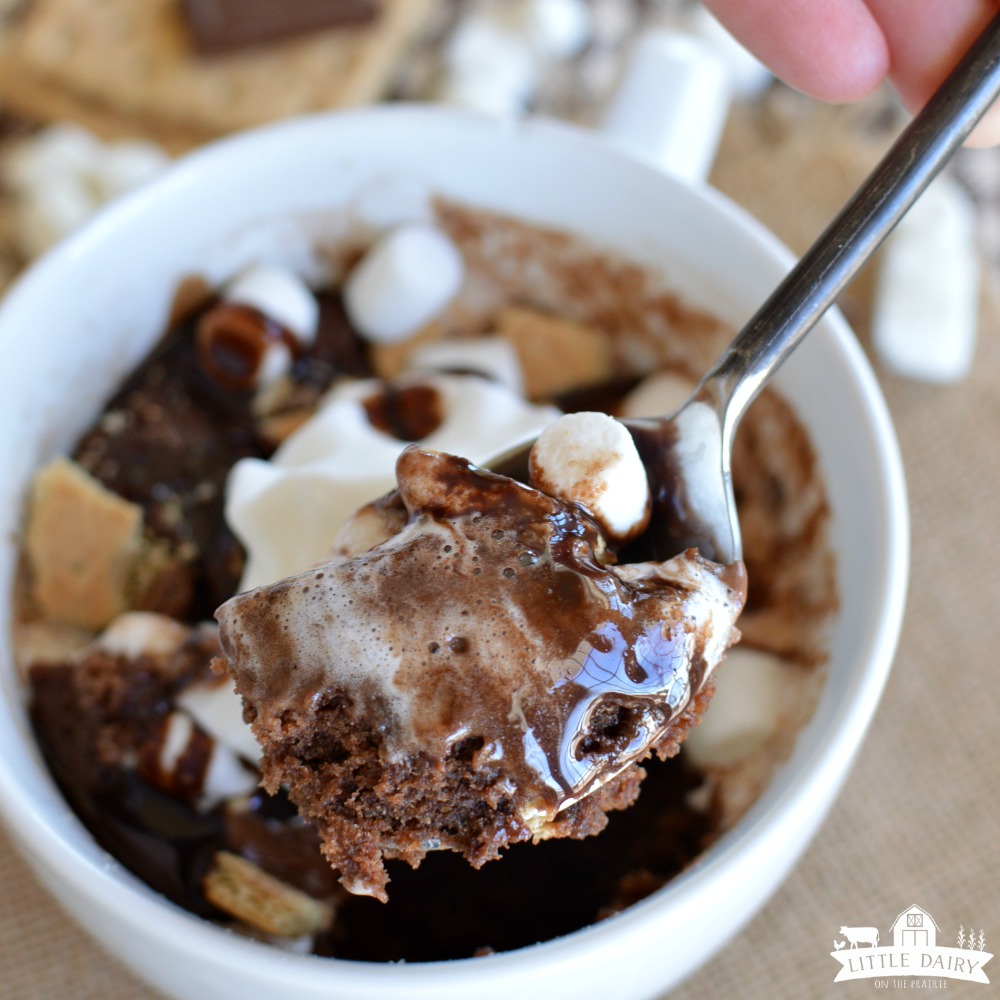 S'mores Chocolate Mug Cake - my new favorite afternoon snack!