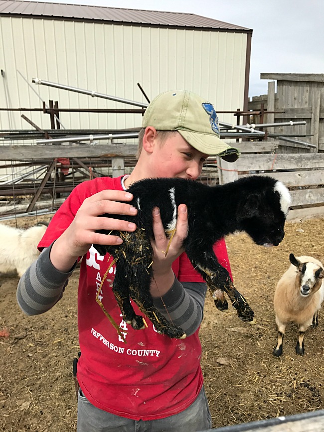 Branson and the baby goat