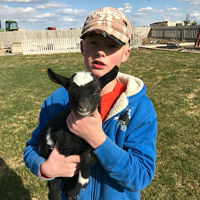 Payson and the baby goat