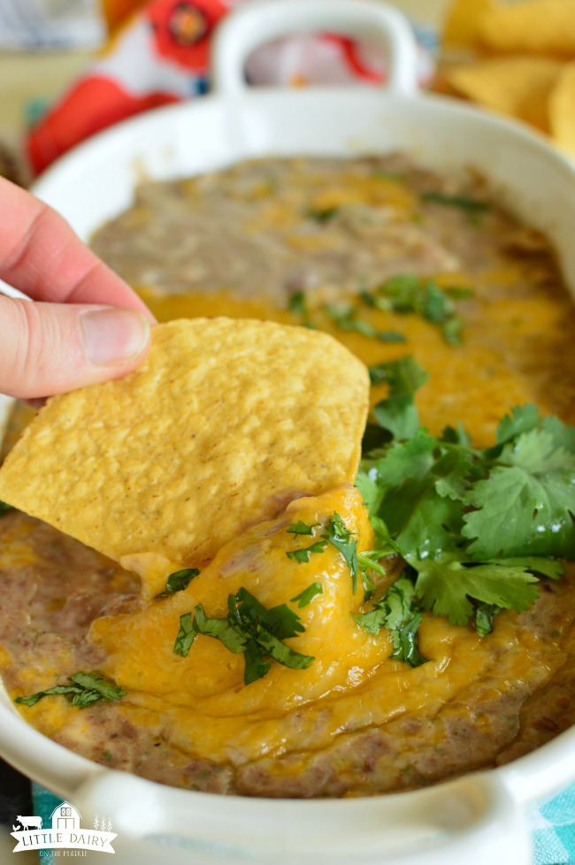 Easy Cheesy Refried Bean Dip #quickappetizer