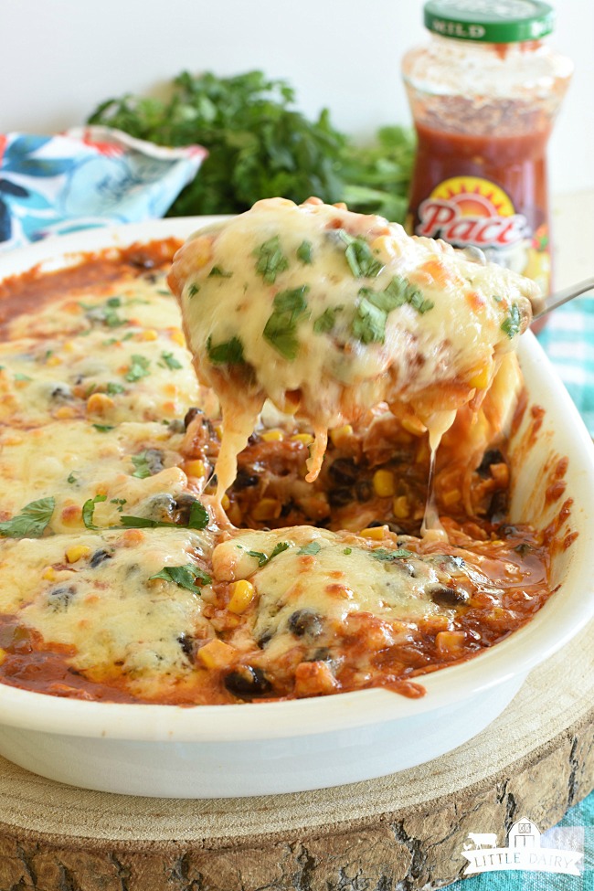 Easy Chicken Enchilada Casserole - Favorite Family Meal