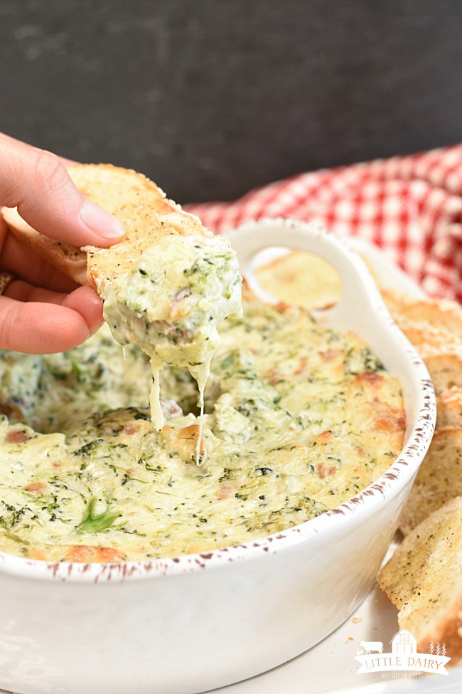 Cheesy Broccoli and Bacon Dip - party food