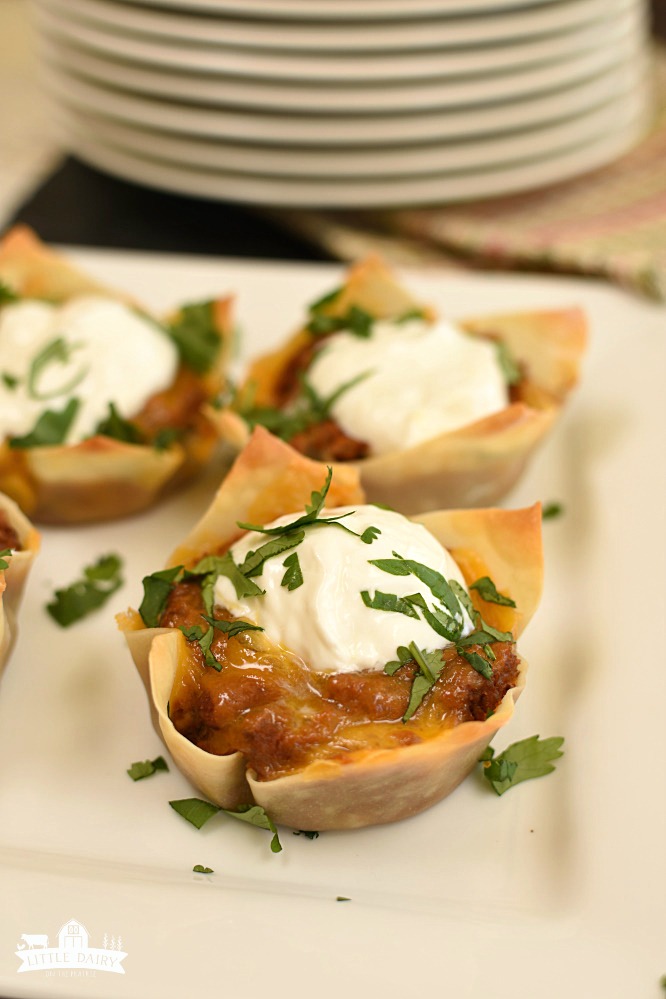 Wonton Burrito Cups - a new way to do Taco Tuesday