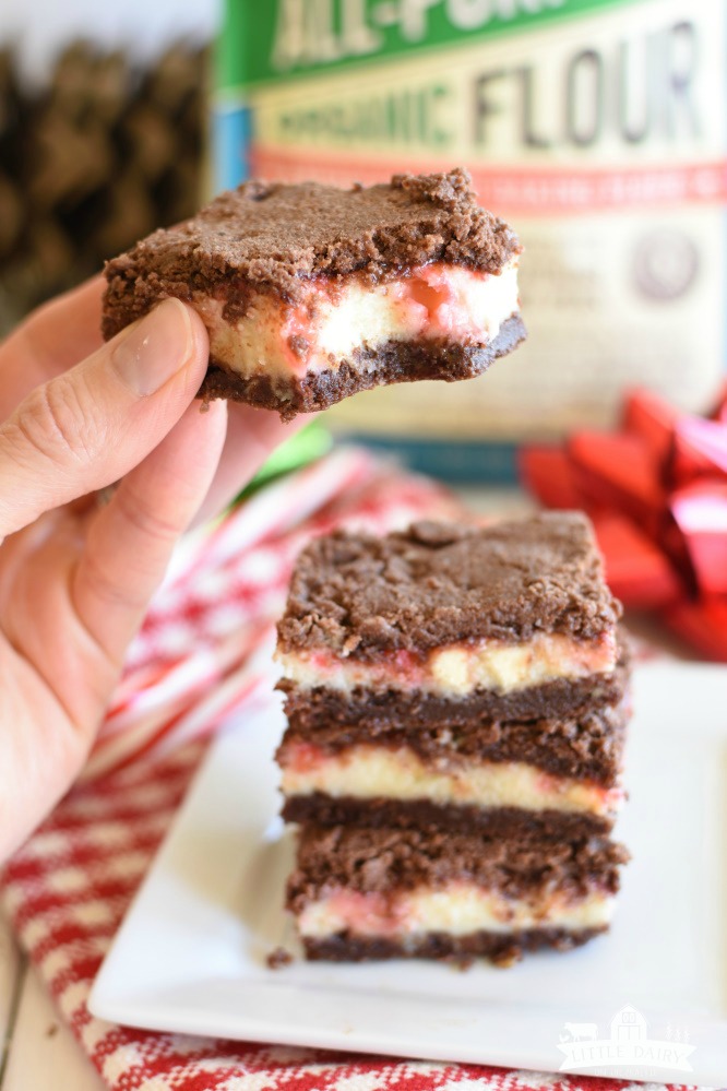 Peppermint Bark Chocolate Steusel Bars- a holiday cookie