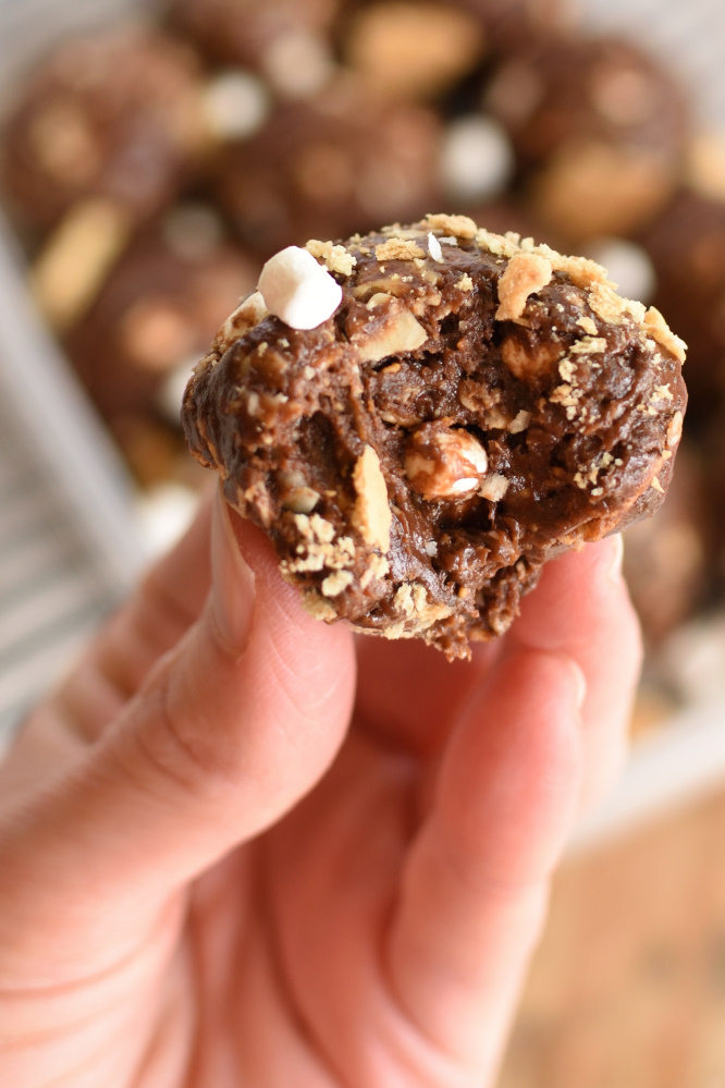 S'mores Energy. Bites- energy balls